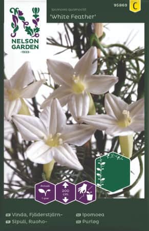 fjderstjrnvinda-white-feather-1