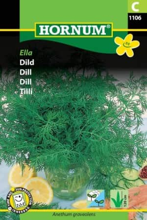 dill-ella-fr-1