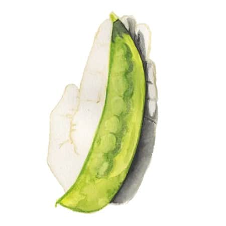 lokfrare-bergflts-jttert-1