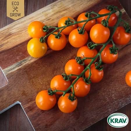 krsbrstomat-figiel-krav-mrkt-1