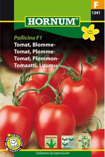 plommontomat-pollicino-f1-1