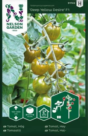 krsbrstomat-deep-yellow-desire-f1-1