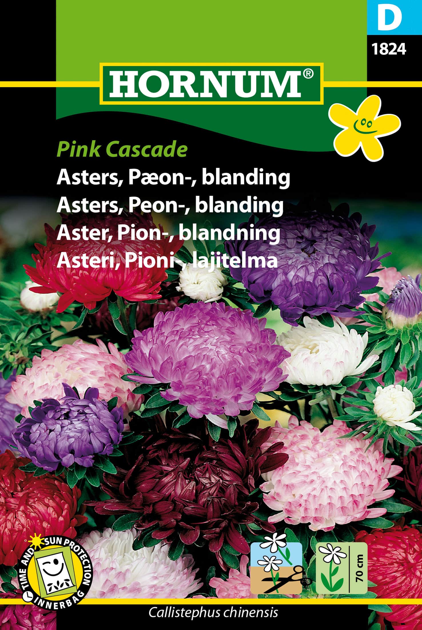 pionaster-pink-cascade-1