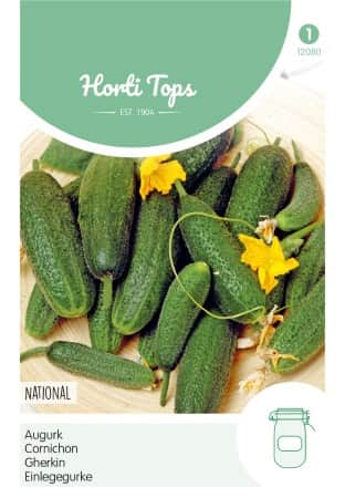 inlggningsgurka-pickling-paris-1