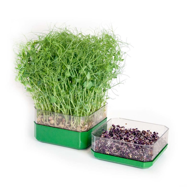 Sproutly: Stapelbar Odlingslåda för groddar Grön