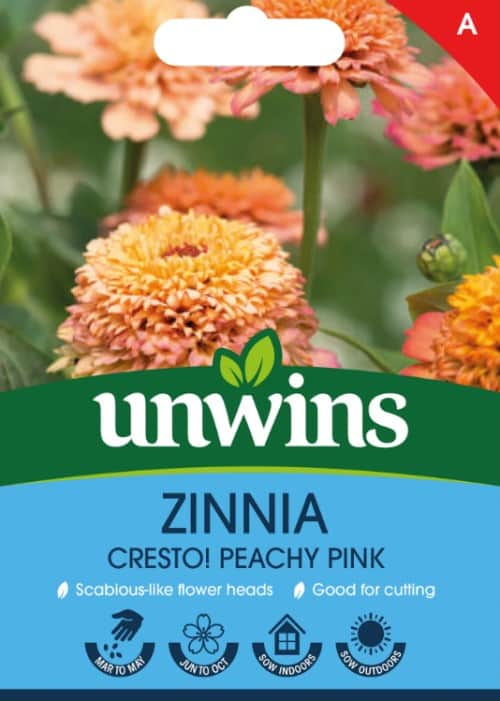 zinnia-cresto-peachy-pink-1