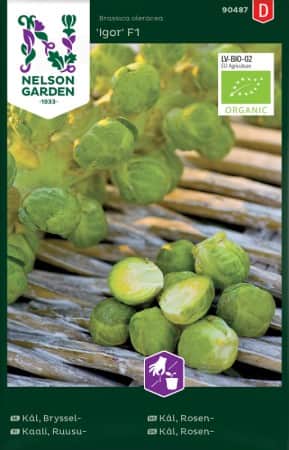 brysselkl-igor-f1-eko-1