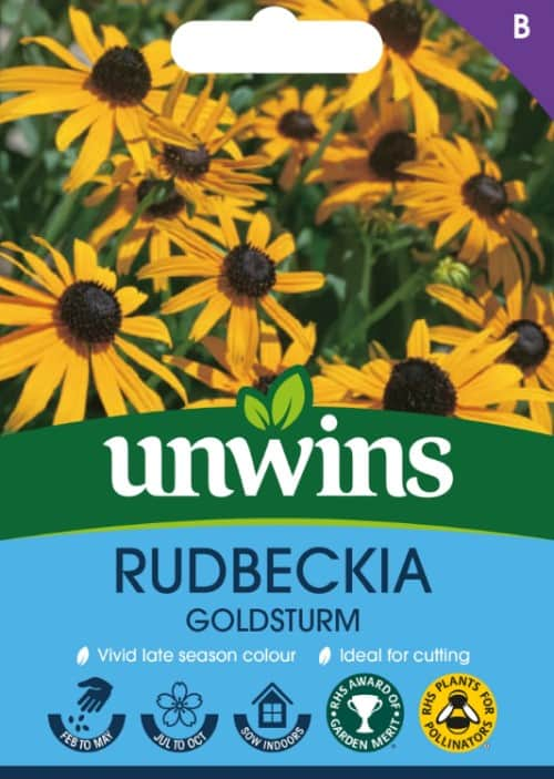 strlrudbeckia-goldsturm-1