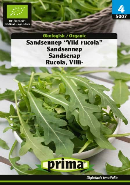 sandsenap-vild-rucola-wilde-rauke-organic-fr-1