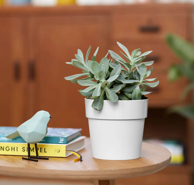 bfor-original-rund-ytterkruka-18cm-vit-2