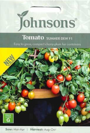 tomat-summer-dew-f1-1