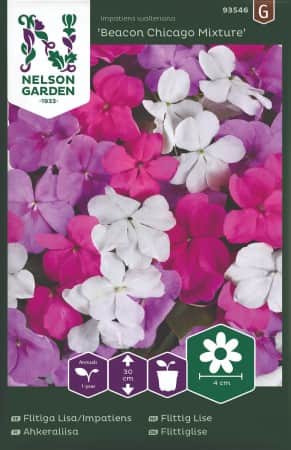 flitiga-lisa-beacon-chicago-mixture-f1-1