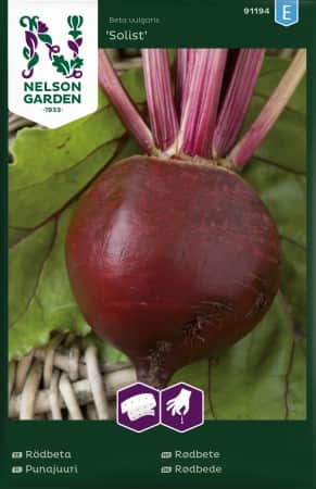 rdbeta-solist-sband-1