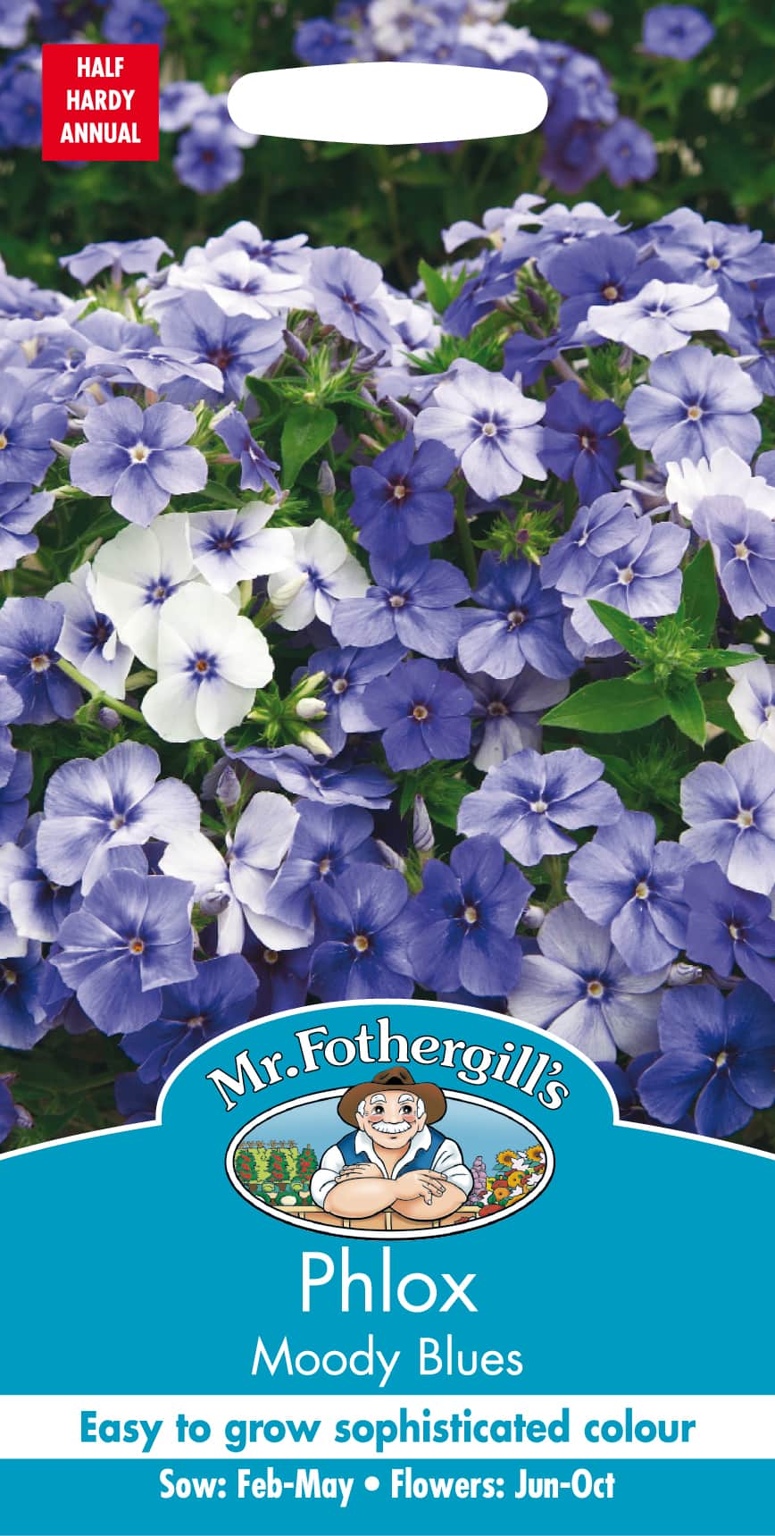 sommarflox-moody-blues-fr-1