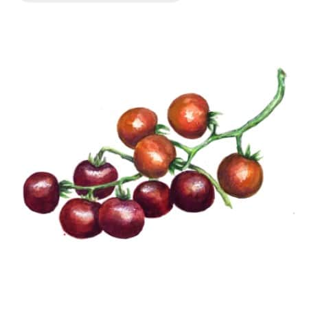 tomat-helsing-junction-blues-1