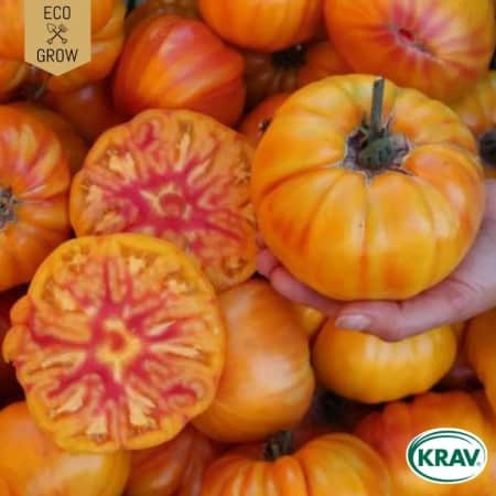 bifftomat-german-gold-krav-mrkt-1