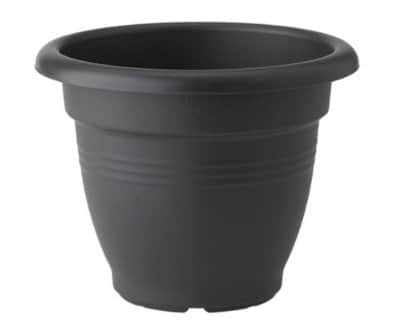 green-basics-campana-dia-50-cm-living-black-1