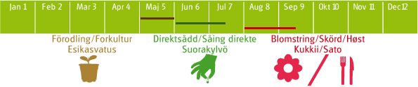 svedjerova-enon-kanta-fr-2