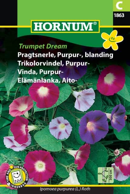 purpurvinda-mix-trumpet-dream-fr-1
