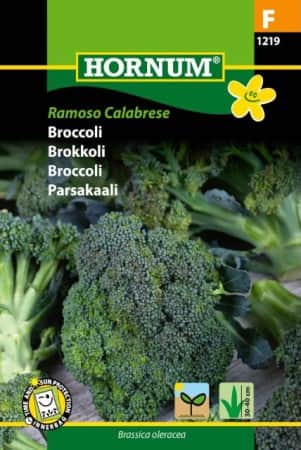 broccoli-ramoso-calabrese-f1-1