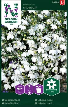 lobelia-kant-snowball-1