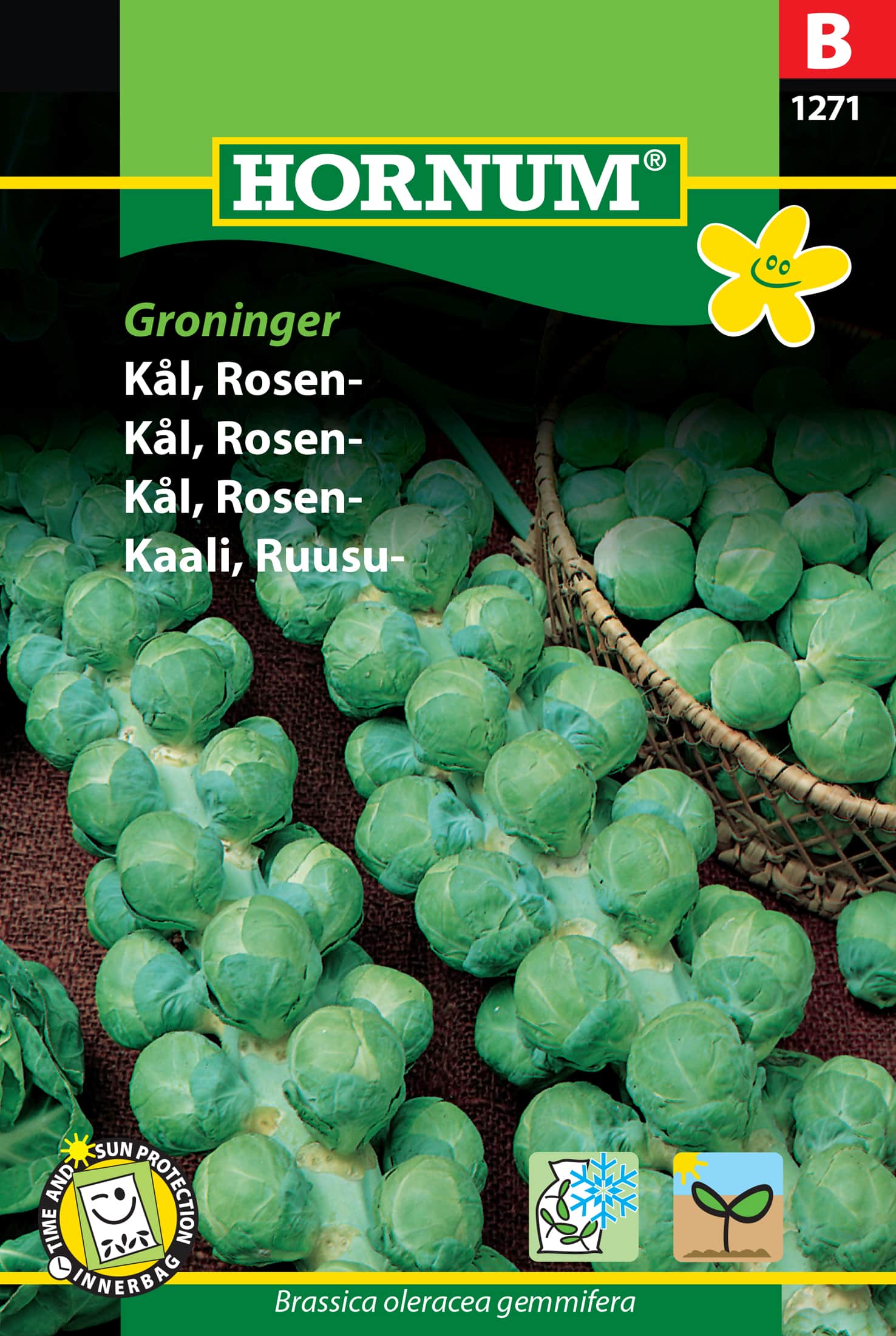 brysselkl-groninger-1