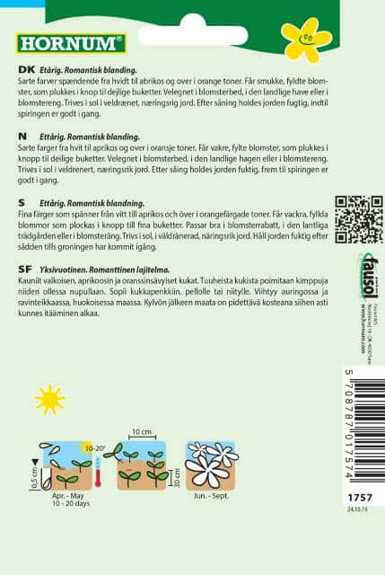 kornvallmo-mix-angels-choir-2