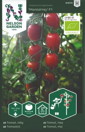 krsbrstomat-monterrey-f1-eko-1