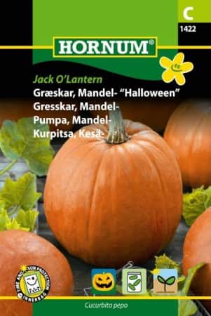 mandelpumpa-jack-olantern-1