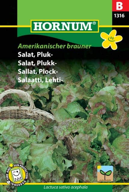 plocksallat-amerikanischer-brauner-1