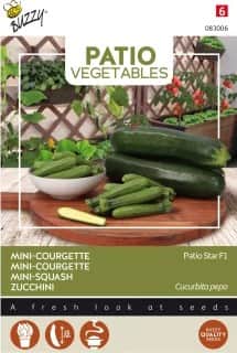 zucchini-mini-patio-star-f1-1