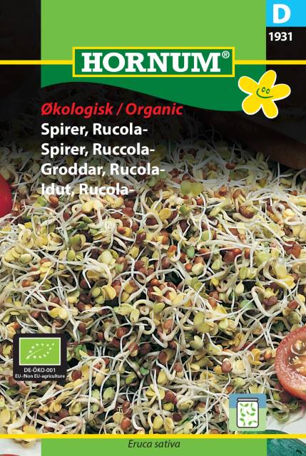 Groddar, Rucola Ekologiskt frö