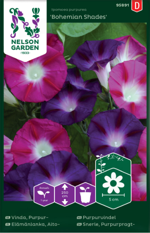 purpurvinda-bohemian-shades-1