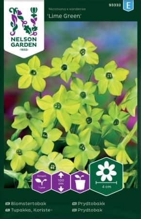 blomstertobak-lime-green-1