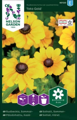 sommarrudbeckia-toto-gold-lg-1