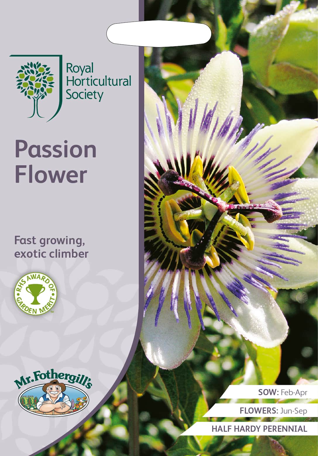 bl-passionsblomma-fr-1