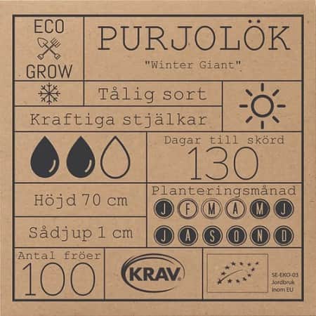 purjolk-winter-giant-krav-mrkt-2