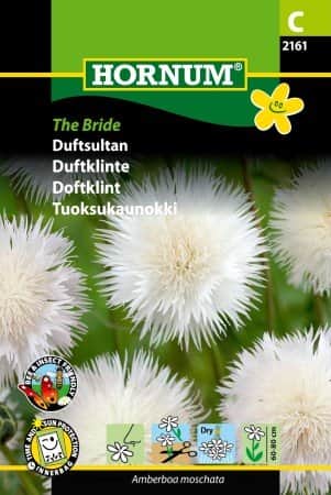 doftklint-the-bride-1