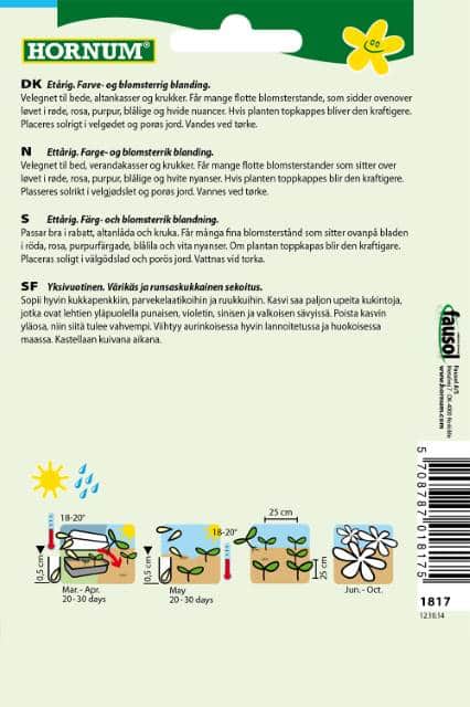 trdgrdsverbena-mix-romance-2