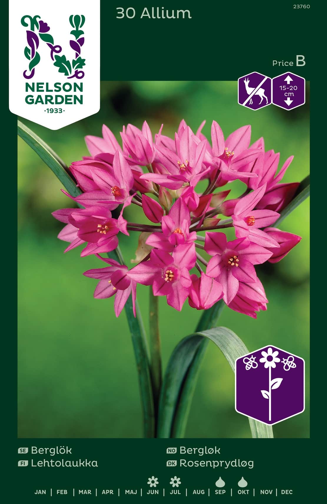berglk-rosa-30st-1