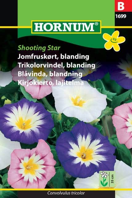 blvinda-mix-shooting-star-1