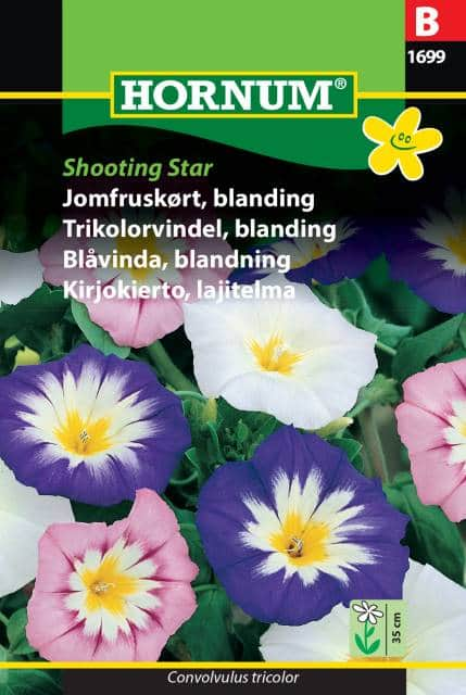 blvinda-mix-shooting-star-fr-1