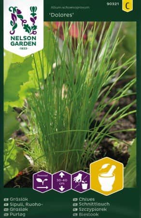 grslk-dolores-1