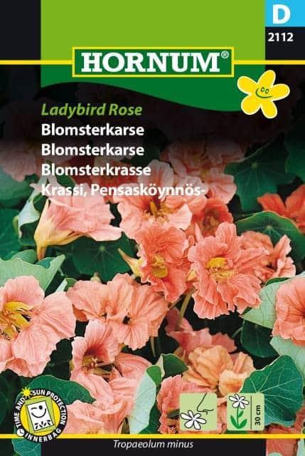 dvrgkrasse-ladybird-rose-1