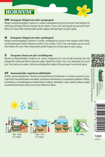 frilandsgurka-conny-f1-2