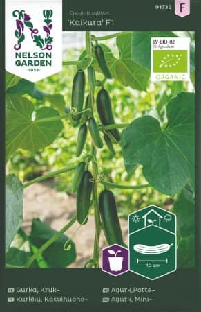 krukgurka-kaikura-f1-eko-1