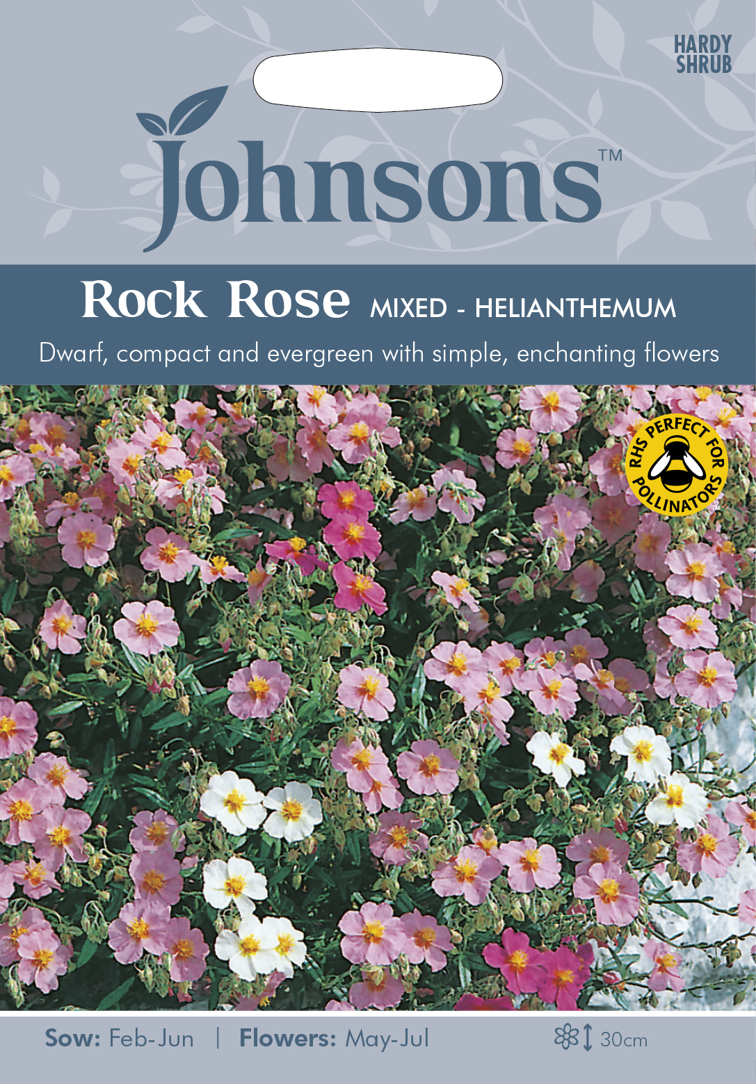 Solvända ’Rock Rose’ mix, frö