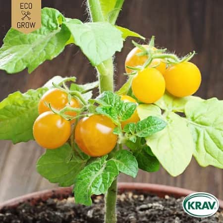 busktomat-boka-krav-mrkt-1