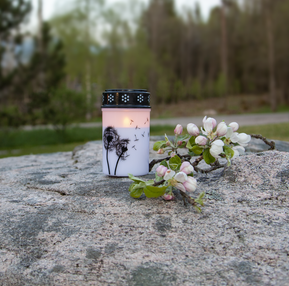 gravljus-dandelion-led-h12cm-1