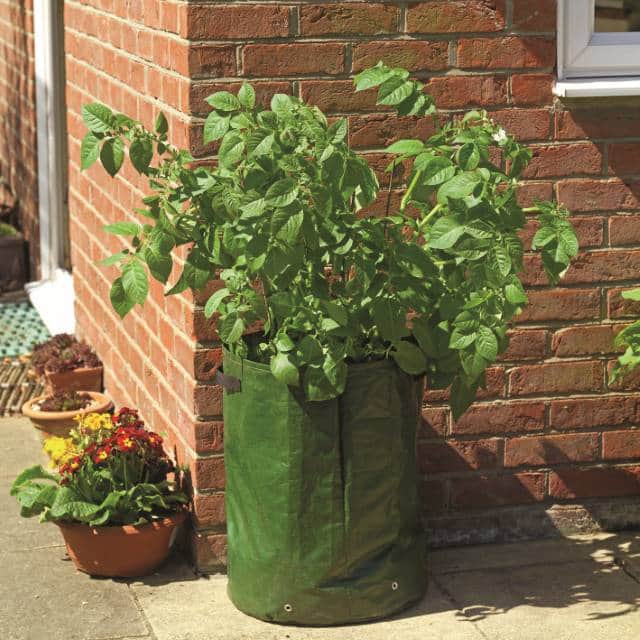 potatiskruka-40cm-polyeten---2st-1
